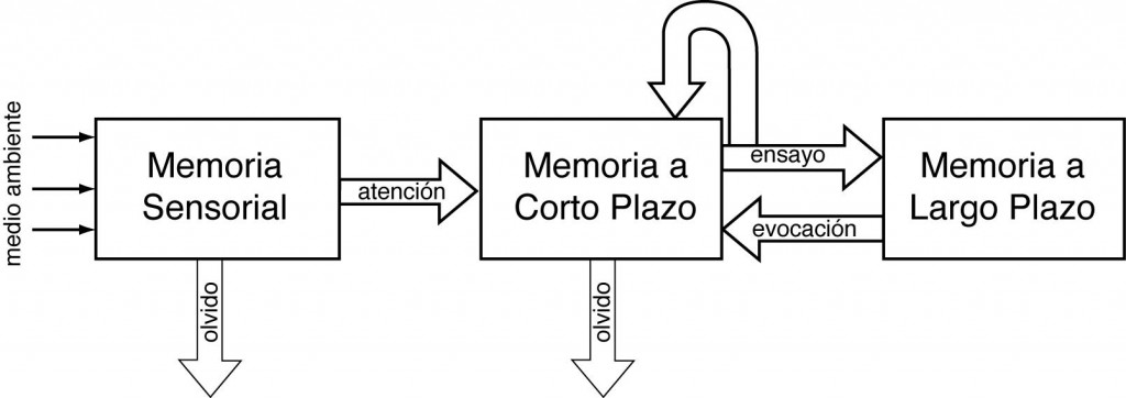 Esquema de la memoria
